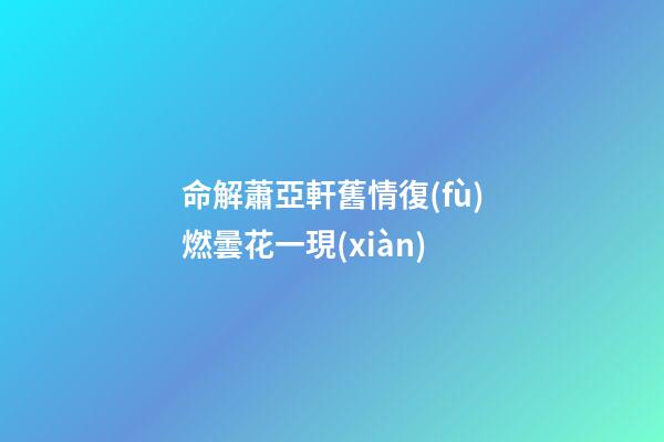 命解蕭亞軒舊情復(fù)燃曇花一現(xiàn)