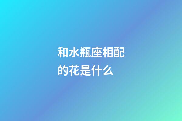 和水瓶座相配的花是什么-第1張-星座運勢-玄機派