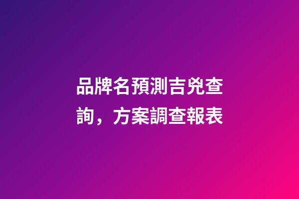品牌名預測吉兇查詢，方案調查報表-第1張-商標起名-玄機派
