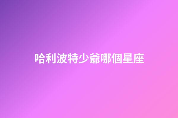 哈利波特少爺哪個星座