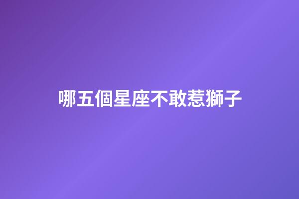 哪五個星座不敢惹獅子-第1張-星座運勢-玄機派