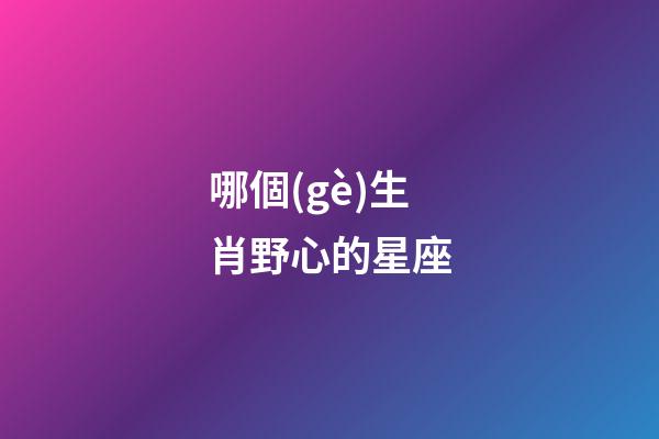 哪個(gè)生肖野心的星座-第1張-星座運(yùn)勢-玄機(jī)派