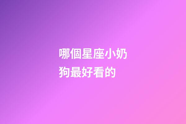 哪個星座小奶狗最好看的-第1張-星座運勢-玄機派