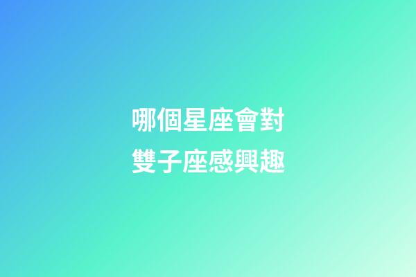 哪個星座會對雙子座感興趣-第1張-星座運勢-玄機派