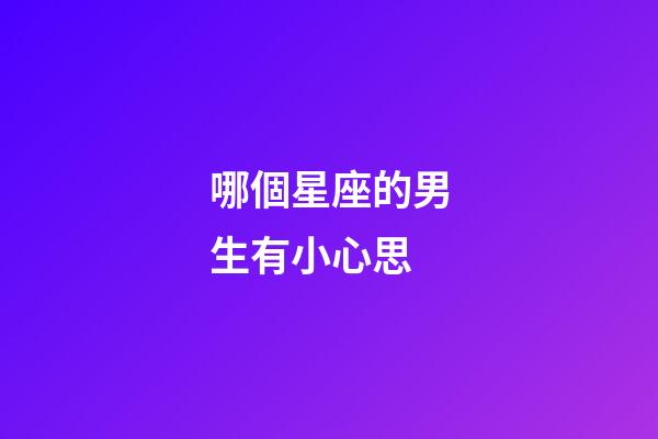哪個星座的男生有小心思-第1張-星座運勢-玄機派