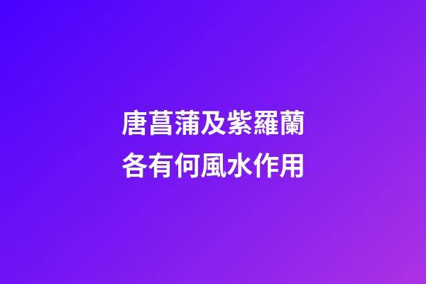 唐菖蒲及紫羅蘭各有何風水作用?