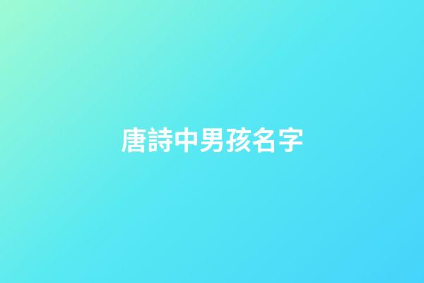唐詩中男孩名字(唐詩里適合男孩的名字)-第1張-男孩起名-玄機派
