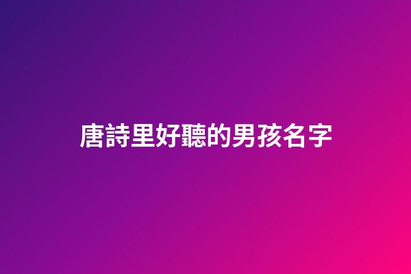 唐詩里好聽的男孩名字(唐詩取男孩名字)-第1張-男孩起名-玄機(jī)派