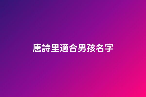 唐詩里適合男孩名字(唐詩給男孩子取名字)-第1張-男孩起名-玄機(jī)派