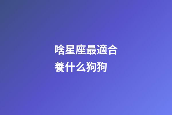 啥星座最適合養什么狗狗-第1張-星座運勢-玄機派