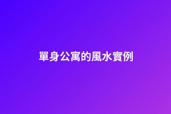 單身公寓的風水實例