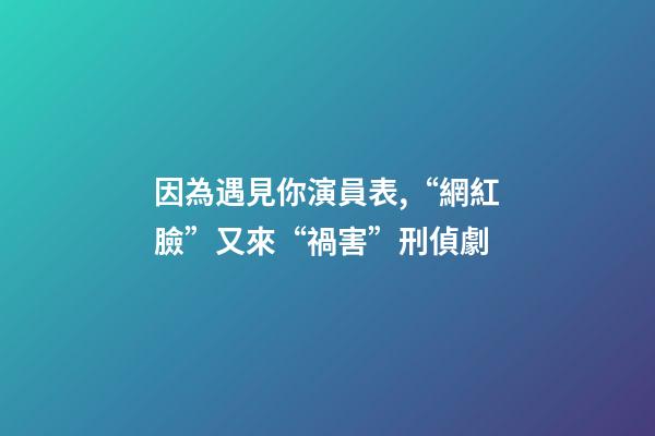 因為遇見你演員表,“網紅臉”又來“禍害”刑偵劇-第1張-觀點-玄機派