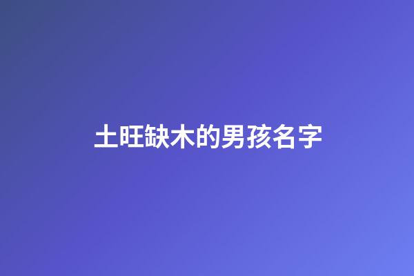 土旺缺木的男孩名字(屬土缺木的名字男孩)-第1張-男孩起名-玄機(jī)派