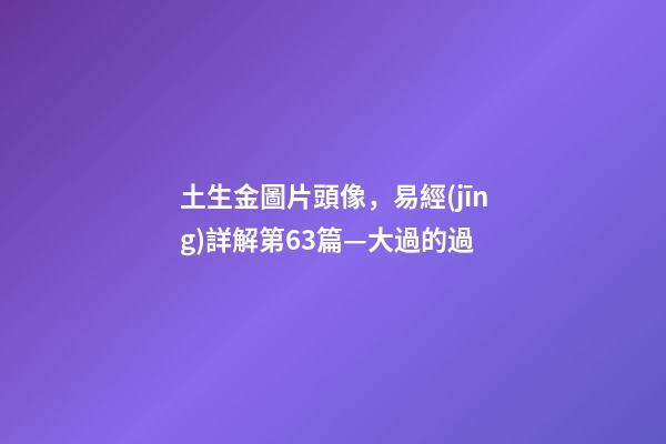 土生金圖片頭像，易經(jīng)詳解第63篇—大過的過-第1張-觀點-玄機派