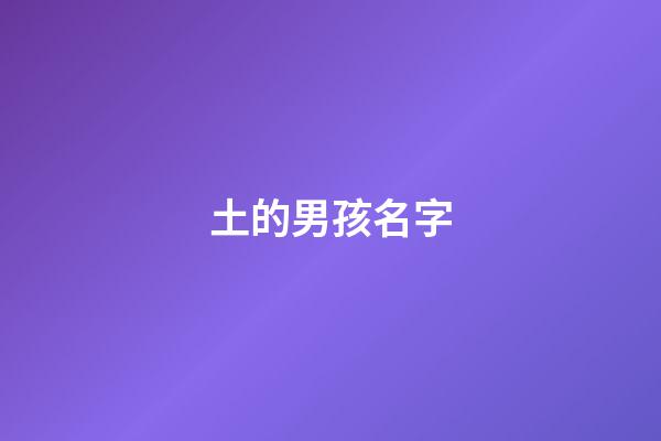 土的男孩名字(五行缺火土的男孩名字)-第1張-男孩起名-玄機派