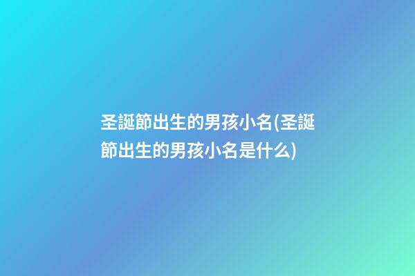 圣誕節出生的男孩小名(圣誕節出生的男孩小名是什么)