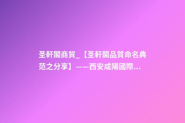 圣軒閣商貿_【圣軒閣品質命名典范之分享】——西安咸陽國際機場迅邦達貴賓服務中心命名及標志設計-第1張-公司起名-玄機派