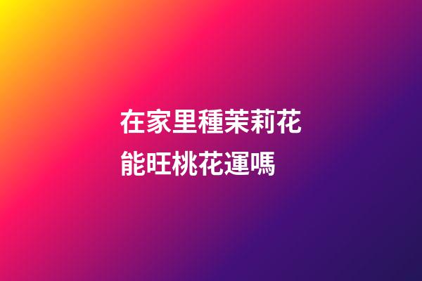 在家里種茉莉花能旺桃花運嗎