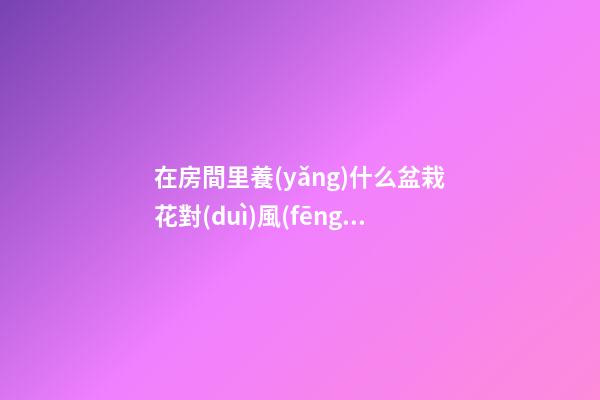 在房間里養(yǎng)什么盆栽花對(duì)風(fēng)水好