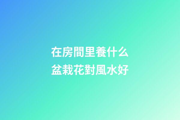 在房間里養什么盆栽花對風水好