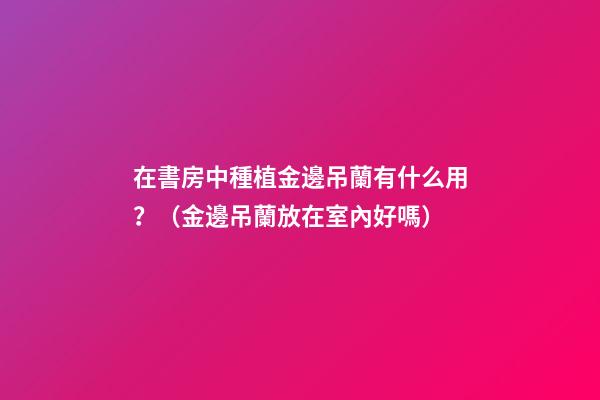 在書房中種植金邊吊蘭有什么用？（金邊吊蘭放在室內好嗎）