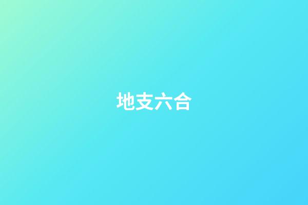 地支六合
