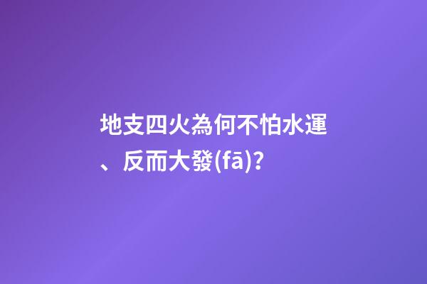 地支四火為何不怕水運、反而大發(fā)？