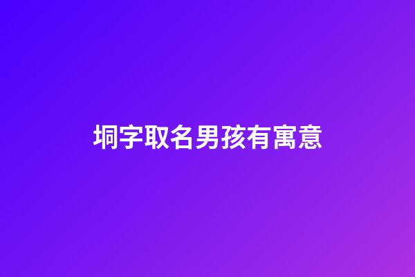 垌字取名男孩有寓意(垌字適合起名字嗎)-第1張-男孩起名-玄機派