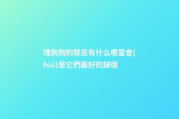 埋狗狗的禁忌有什么?哪里會(huì)是它們最好的歸宿?