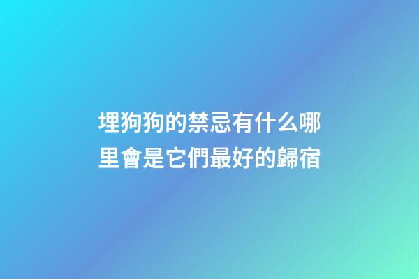 埋狗狗的禁忌有什么?哪里會是它們最好的歸宿?