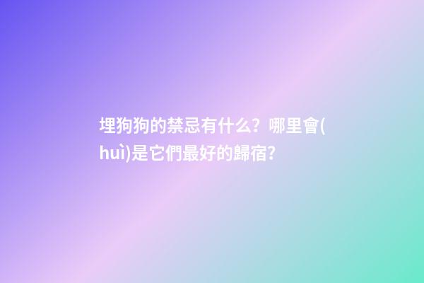 埋狗狗的禁忌有什么？哪里會(huì)是它們最好的歸宿？