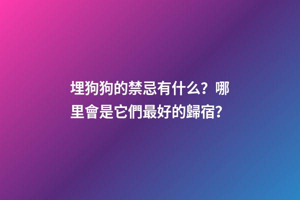 埋狗狗的禁忌有什么？哪里會是它們最好的歸宿？
