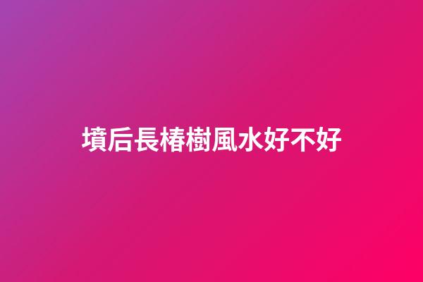 墳后長椿樹風水好不好