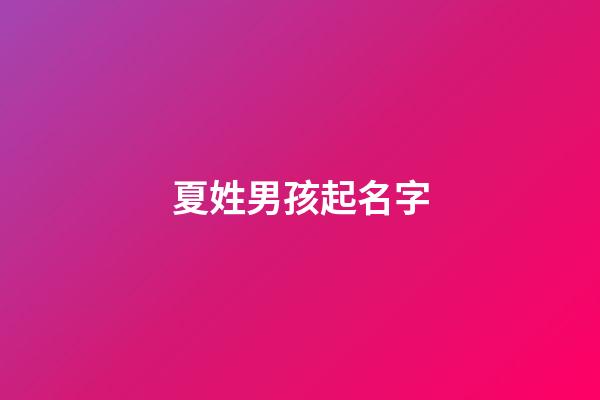 夏姓男孩起名字(夏姓男孩大氣有涵養的名字)-第1張-男孩起名-玄機派