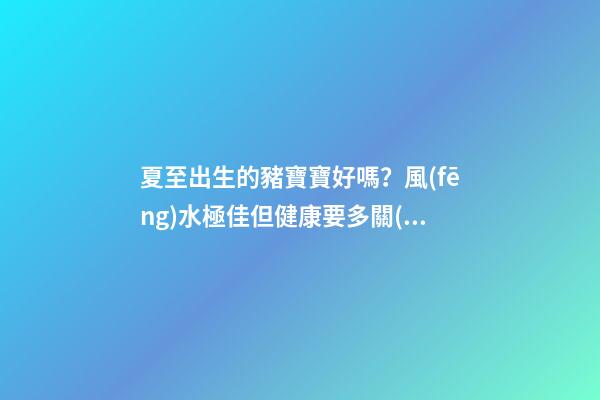 夏至出生的豬寶寶好嗎？風(fēng)水極佳但健康要多關(guān)注