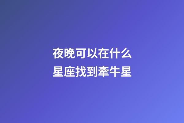 夜晚可以在什么星座找到牽牛星