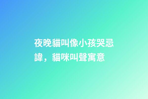 夜晚貓叫像小孩哭忌諱，貓咪叫聲寓意