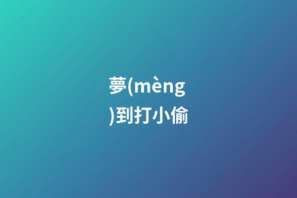 夢(mèng)到打小偷