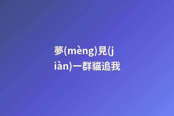 夢(mèng)見(jiàn)一群貓追我