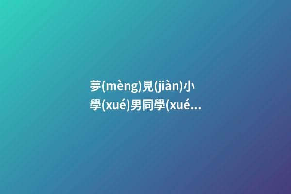 夢(mèng)見(jiàn)小學(xué)男同學(xué)