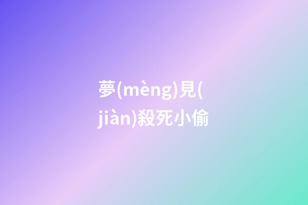 夢(mèng)見(jiàn)殺死小偷