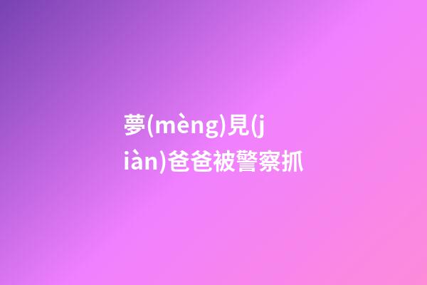 夢(mèng)見(jiàn)爸爸被警察抓