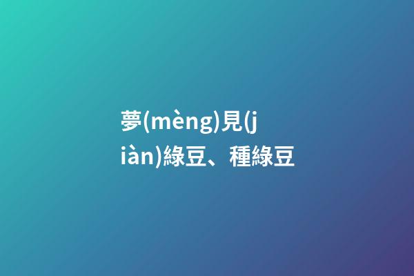 夢(mèng)見(jiàn)綠豆、種綠豆