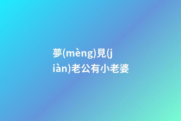 夢(mèng)見(jiàn)老公有小老婆