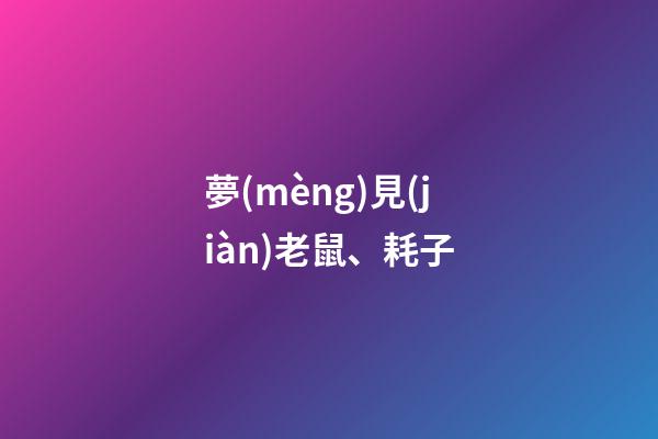 夢(mèng)見(jiàn)老鼠、耗子