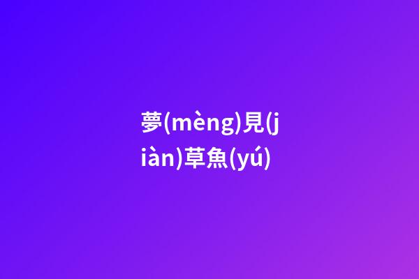 夢(mèng)見(jiàn)草魚(yú)