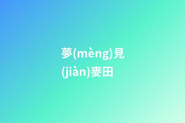 夢(mèng)見(jiàn)麥田