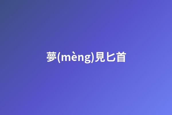 夢(mèng)見匕首