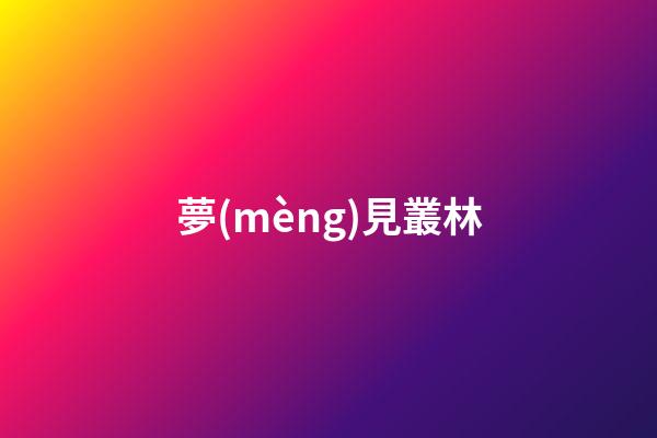 夢(mèng)見叢林
