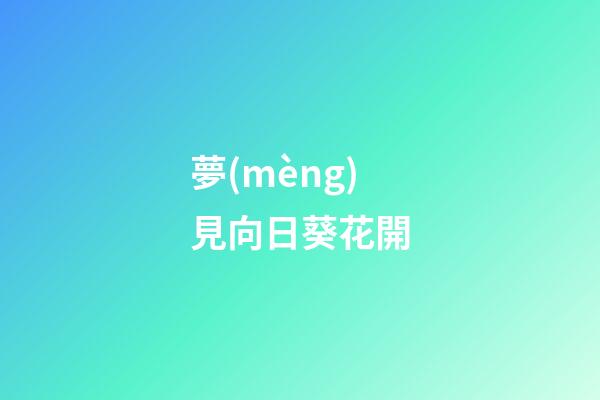 夢(mèng)見向日葵花開